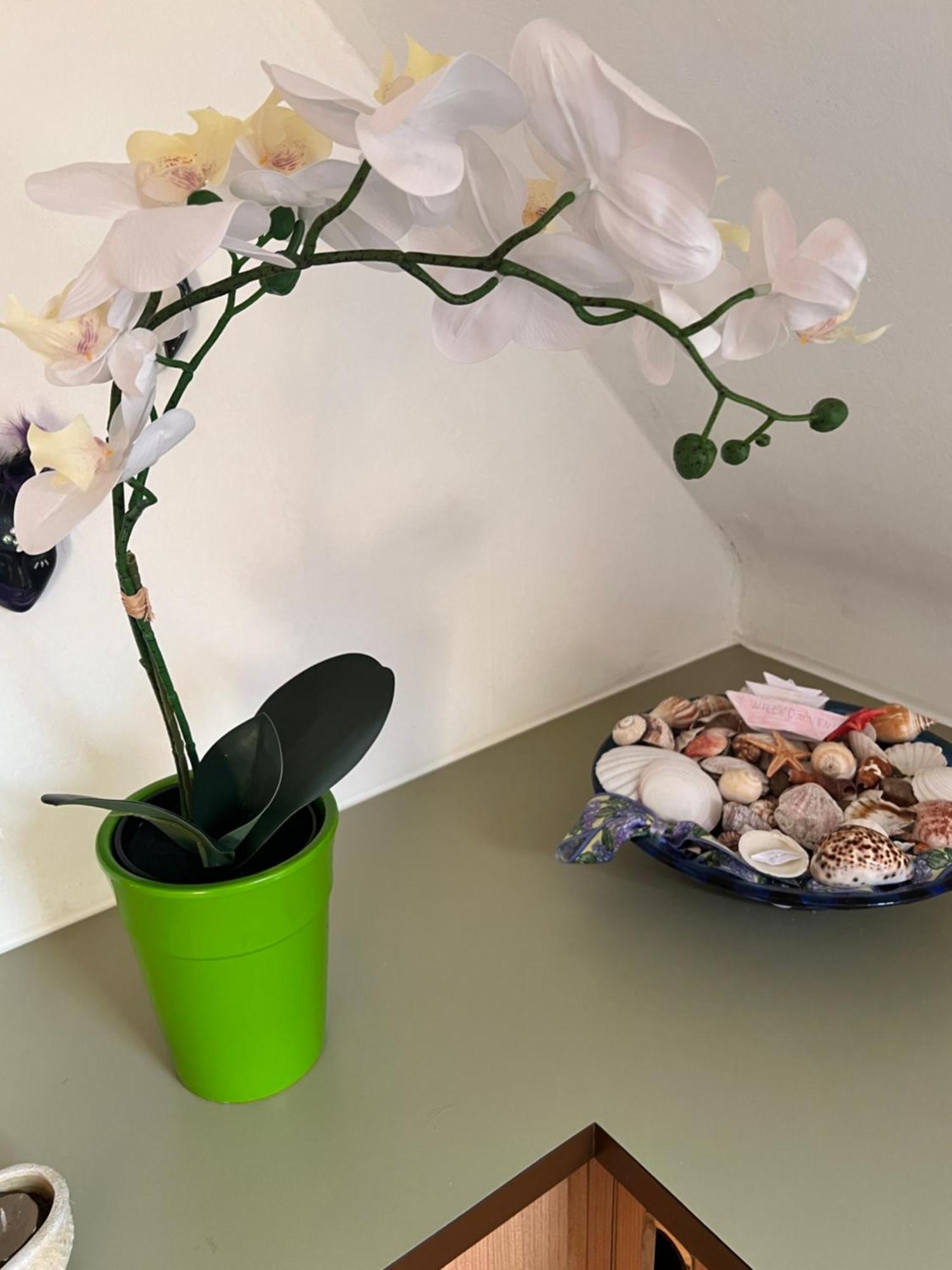 Apartament Haus Gruber - Valentina & Gabriel In Der Waldheimat Krieglach Zewnętrze zdjęcie